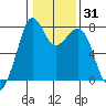 Bellingham tide chart for Friday, January 31, 2025
