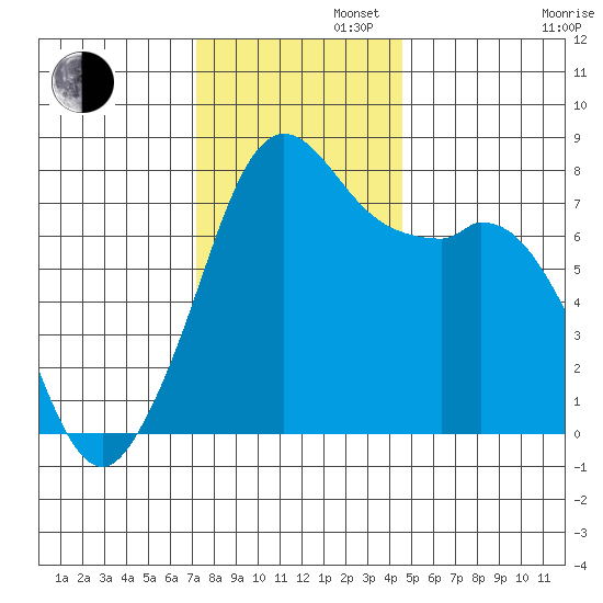Bellingham tide chart for Tuesday, November 11, 2025