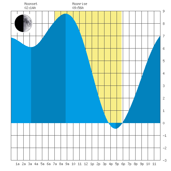 Bellingham tide chart for Tuesday, February 24, 2026