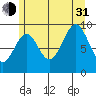 Pole Anchorage tide chart for Saturday, July 31, 2021