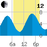 Below Spring Bluff tide chart for Monday, August 12, 2024