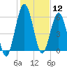 Below Spring Bluff tide chart for Sunday, January 12, 2025