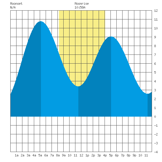 Port Walter tide chart for Tuesday, January 19, 2021