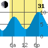 Port Walter tide chart for Saturday, July 31, 2021