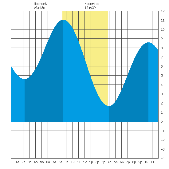 Port Walter tide chart for Wednesday, January 12, 2022
