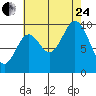 Port Walter tide chart for Thursday, August 24, 2023