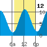 Port Walter tide chart for Thursday, October 12, 2023