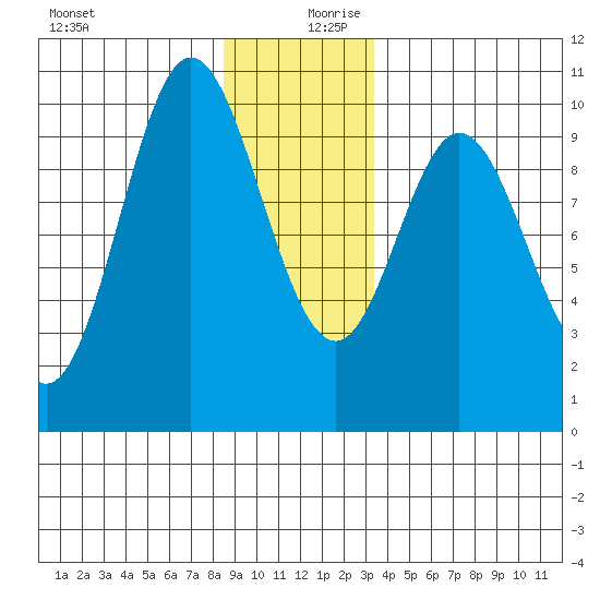 Port Walter tide chart for Wednesday, December 20, 2023