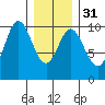 Port Walter tide chart for Wednesday, January 31, 2024
