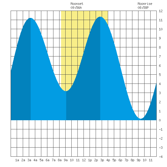 Port Walter tide chart for Friday, January 17, 2025