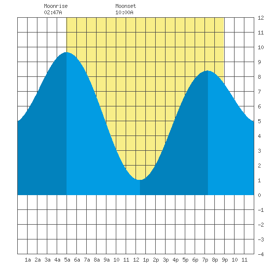 Port Walter tide chart for Friday, May 8, 2026