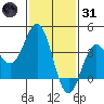 Santa Cruz Island tide chart for Monday, January 31, 2022
