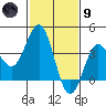 Santa Cruz Island tide chart for Friday, February 9, 2024