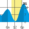 Protection Point tide chart for Sunday, January 31, 2021