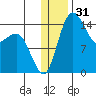 Protection Point tide chart for Tuesday, December 31, 2024