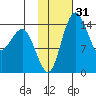 Protection Point tide chart for Friday, January 31, 2025