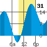 Protection Point tide chart for Saturday, January 31, 2026
