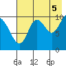 Puale Bay tide chart for Tuesday, August 5, 2025