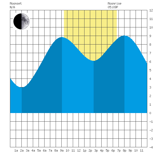 Puale Bay tide chart for Wednesday, October 29, 2025