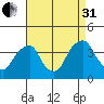 Raccoon Ditch tide chart for Sunday, August 31, 2025