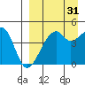 Raven Bay tide chart for Saturday, August 31, 2024
