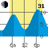 Reid Bay tide chart for Saturday, July 31, 2021
