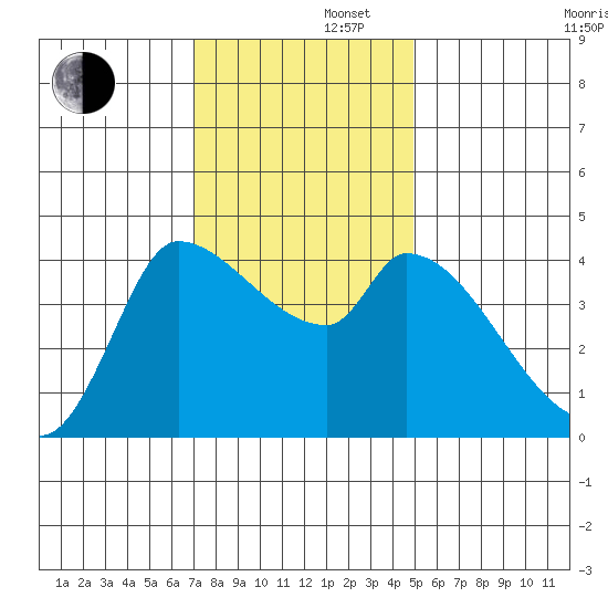 Reynolds tide chart for Friday, November 22, 2024