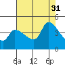 Reynolds tide chart for Thursday, July 31, 2025