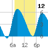 SCL RR bridge tide chart for Sunday, January 12, 2025