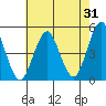 Sachem Head tide chart for Monday, July 31, 2023