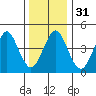 Sachem Head tide chart for Sunday, December 31, 2023