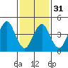Sachem Head tide chart for Wednesday, January 31, 2024