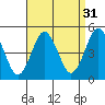Sachem Head tide chart for Saturday, August 31, 2024