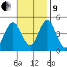 Sachem Head tide chart for Saturday, November 9, 2024