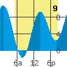 Sakie Bay tide chart for Saturday, August 9, 2025