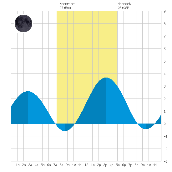 Salisbury tide chart for Thursday, January 11, 2024