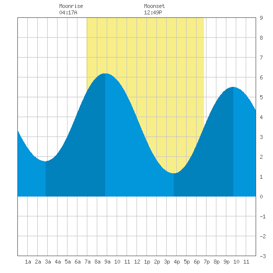 Salmon Falls River tide chart for Friday, March 13, 2026
