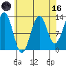 Sportsman's Cove Lodge tide chart for Wednesday, August 16, 2023