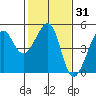 San Francisco Bar tide chart for Friday, January 31, 2025