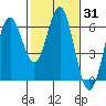 San Leandro Marina tide chart for Friday, January 31, 2025