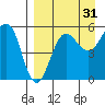 Sanak Harbor tide chart for Saturday, August 31, 2024