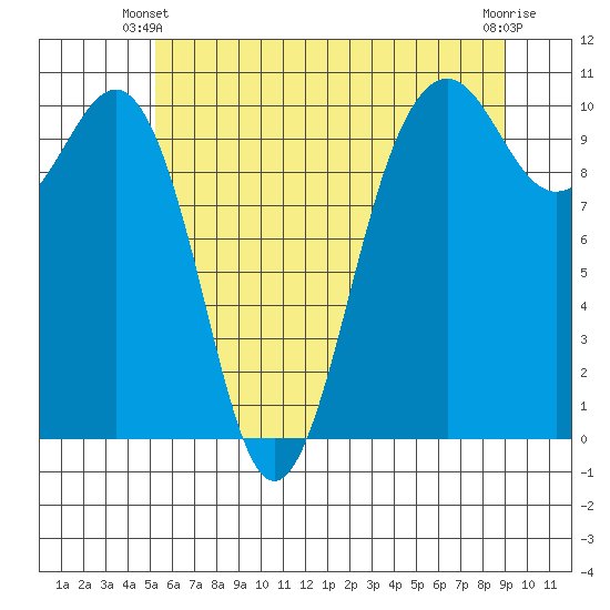 Langley tide chart for Friday, May 29, 2026