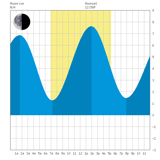 Savage Island tide chart for Friday, November 22, 2024