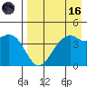 Scotch Cap tide chart for Wednesday, August 16, 2023