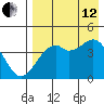 Scotch Cap tide chart for Monday, August 12, 2024