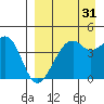 Scotch Cap tide chart for Saturday, August 31, 2024