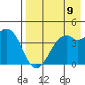 Scotch Cap tide chart for Saturday, August 9, 2025