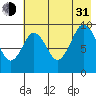 Seal Bay tide chart for Saturday, July 31, 2021