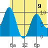 Seal Bay tide chart for Sunday, June 9, 2024