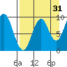 Seal Bay tide chart for Saturday, August 31, 2024
